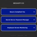 Megaspy.co