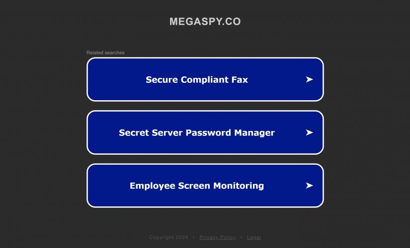 Megaspy.co